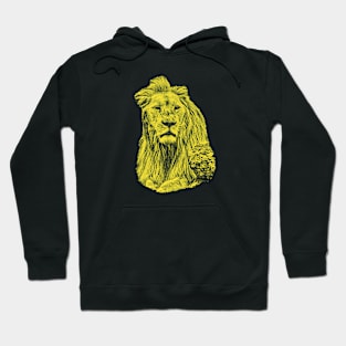 Lion portrait Hoodie